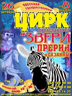 Звери прерии и саванны
