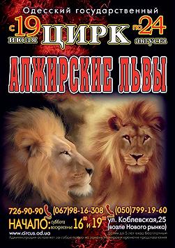 Алжирские львы