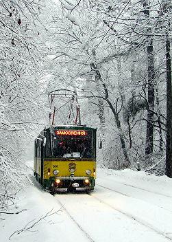 Рождественский трамвай: путешествие в Пущу-Водицу