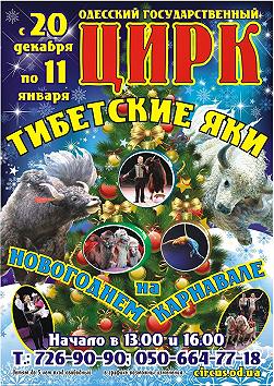 Тибетские яки